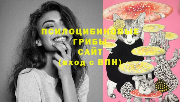 гидропоника Абинск