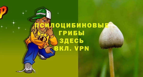 амф Алзамай