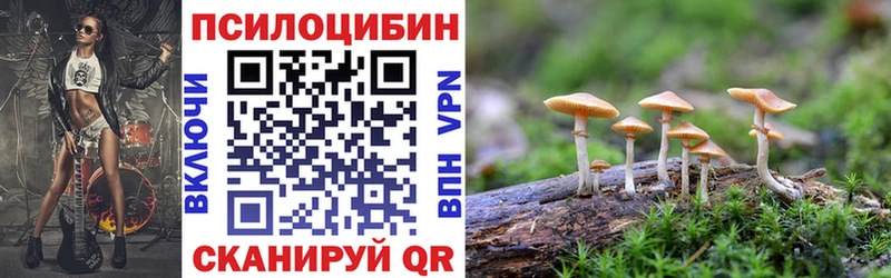 Галлюциногенные грибы MAGIC MUSHROOMS  где продают наркотики  Приозерск 